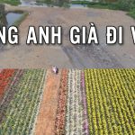 VFX sử dụng trong MV Cùng Anh Già Đi